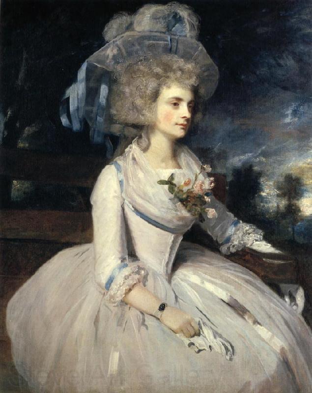 Sir Joshua Reynolds Lady Skipwith Spain oil painting art